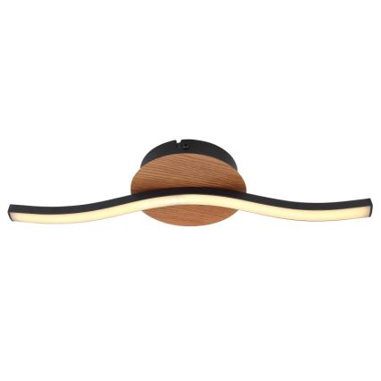 Globo - LED Mennyezeti lámpa LED/6W/230V