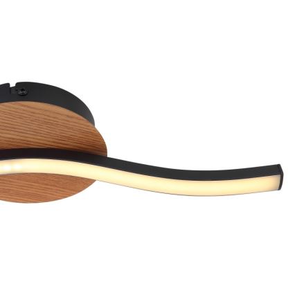 Globo - LED Mennyezeti lámpa LED/6W/230V