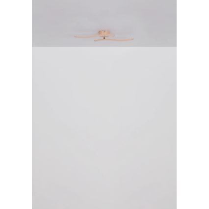 Globo - LED Felületre szerelhető csillár LED/12W/230V 3000K narancs