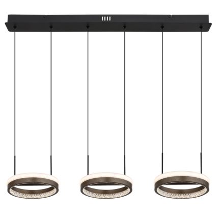 Globo - LED csillár kábelen LED/40W/230V 3000/4000/6000K