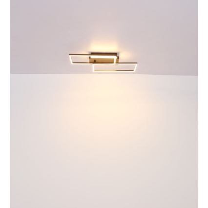 Globo - LED Mennyezeti lámpa LED/40W/230V 62x27 cm matt króm/fekete