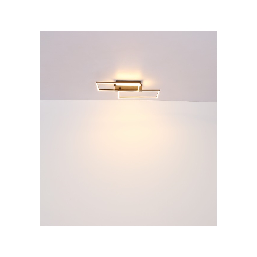 Globo - LED Mennyezeti lámpa LED/40W/230V 62x27 cm matt króm/fekete