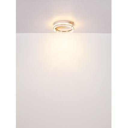 Globo - LED dimmelhető kristály mennyezeti lámpa LED/36W/230V 2700K-6000K + távirányító