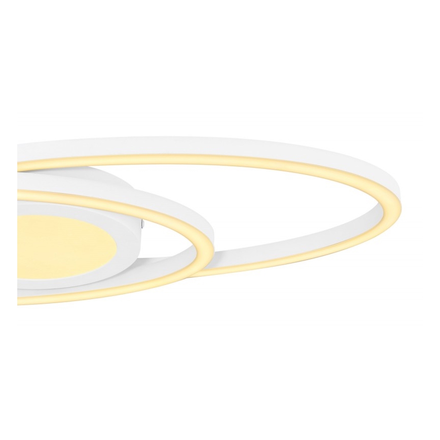 Globo - LED Mennyezeti lámpa LED/24W/230V