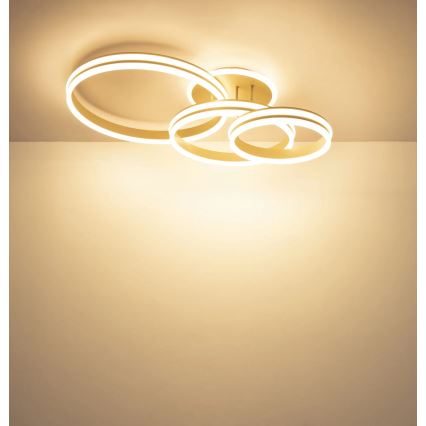 Globo - LED dimmelhető mennyezeti lámpa LED/72W/230V 3000K 79,5x50 cm