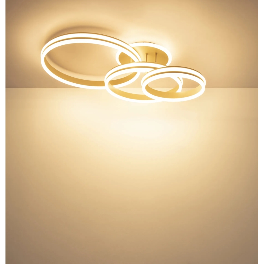 Globo - LED dimmelhető mennyezeti lámpa LED/72W/230V 3000K 79,5x50 cm