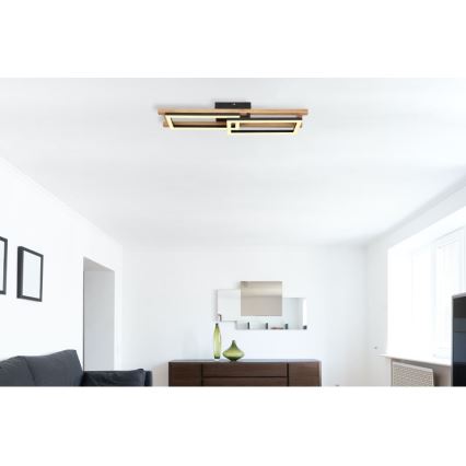 Globo - LED Mennyezeti lámpa LED/20W/230V