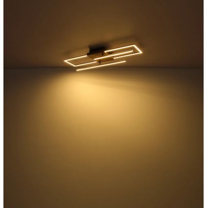 Globo - LED mennyezeti lámpatest LED/24W/230V 3000K 20x80 cm
