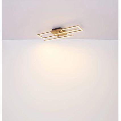 Globo - LED mennyezeti lámpatest LED/24W/230V 3000K 20x80 cm