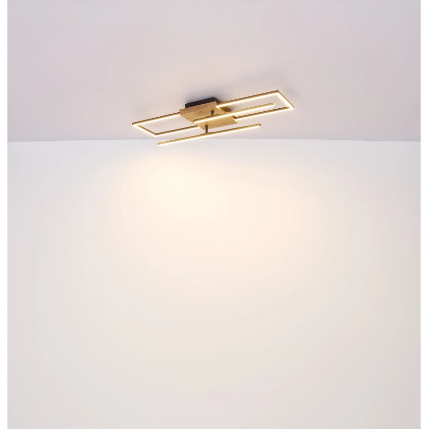 Globo - LED mennyezeti lámpatest LED/24W/230V 3000K 20x80 cm