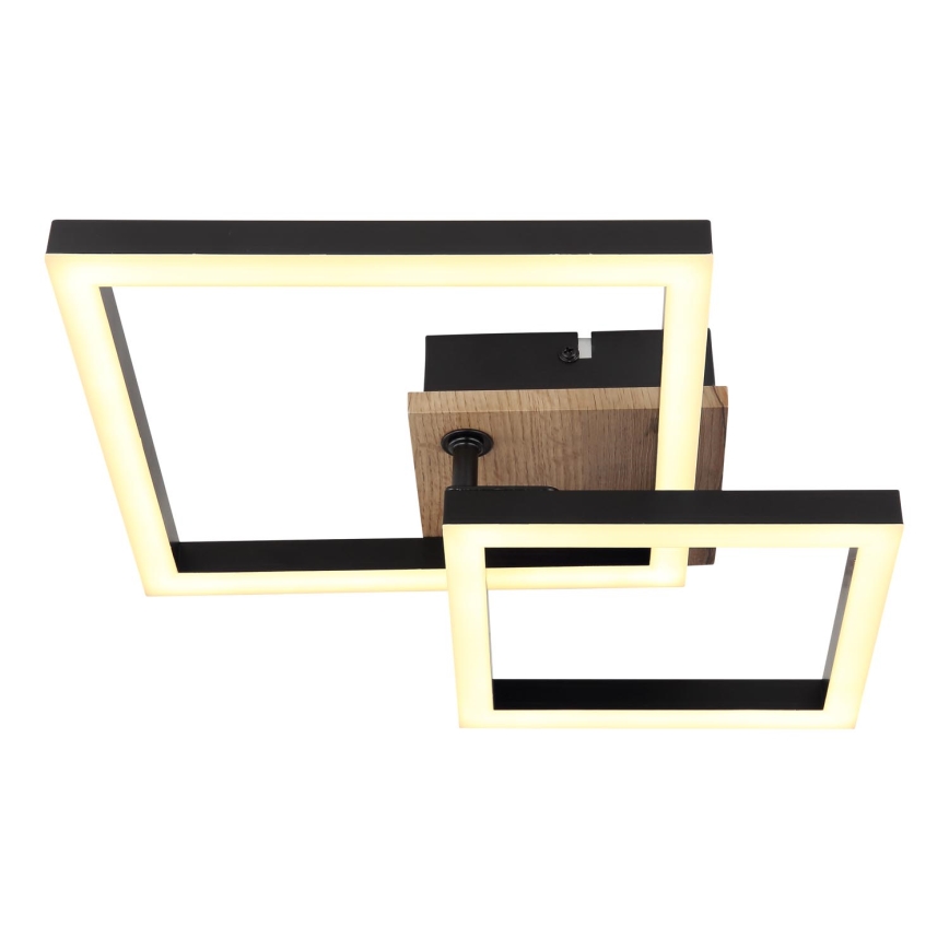 Globo - LED Mennyezeti lámpa LED/15W/230V 3000K