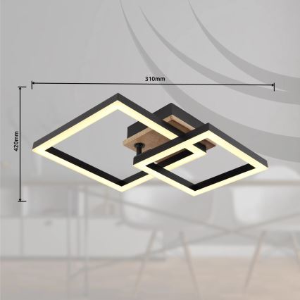 Globo - LED Mennyezeti lámpa LED/15W/230V 3000K