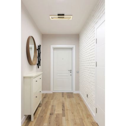 Globo - LED Mennyezeti lámpa LED/24W/230V 4000K arany