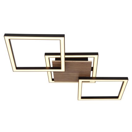 Globo - LED mennyezeti lámpa LED/24W/230V 3000K 27,5x63 cm