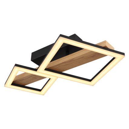 Globo - LED Mennyezeti lámpa LED/19W/230V