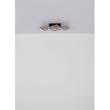 Globo - LED Mennyezeti lámpa LED/29W/230V