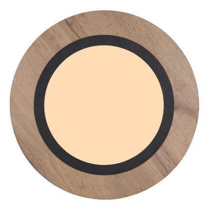 Globo - LED Mennyezeti lámpa LED/15W/230V