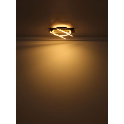 Globo - LED mennyezeti lámpa LED/32W/230V