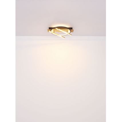 Globo - LED mennyezeti lámpa LED/32W/230V