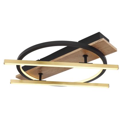 Globo - LED mennyezeti lámpa LED/32W/230V