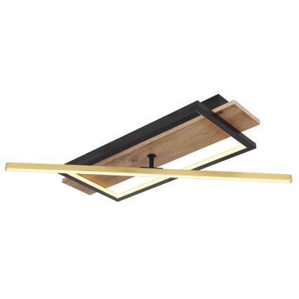 Globo - LED mennyezeti lámpa LED/28W/230V