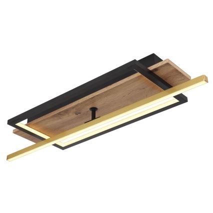 Globo - LED mennyezeti lámpa LED/28W/230V