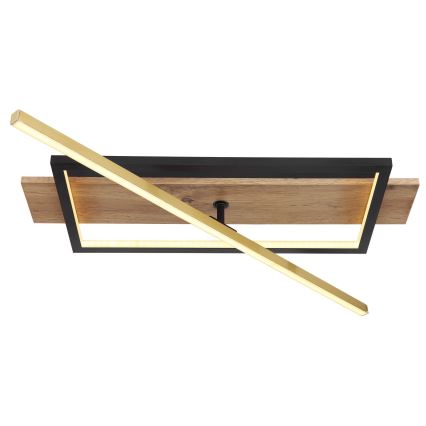 Globo - LED mennyezeti lámpa LED/28W/230V