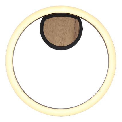 Globo - LED Mennyezeti lámpa LED/12W/230V