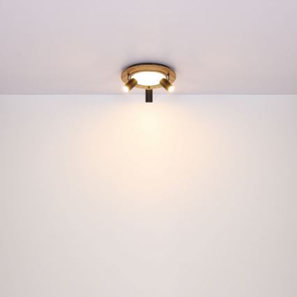 Globo - LED Spotlámpa 3xGU10/5W/230V + LED/15W/230V