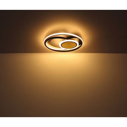 Globo - LED Mennyezeti lámpa LED/24W/230V