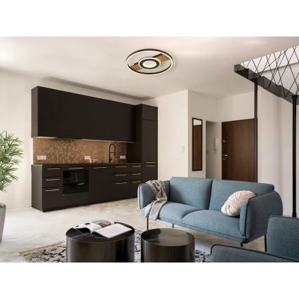 Globo - LED Mennyezeti lámpa LED/24W/230V