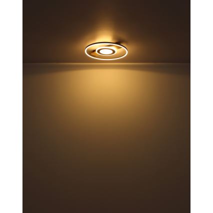 Globo - LED Mennyezeti lámpa LED/24W/230V