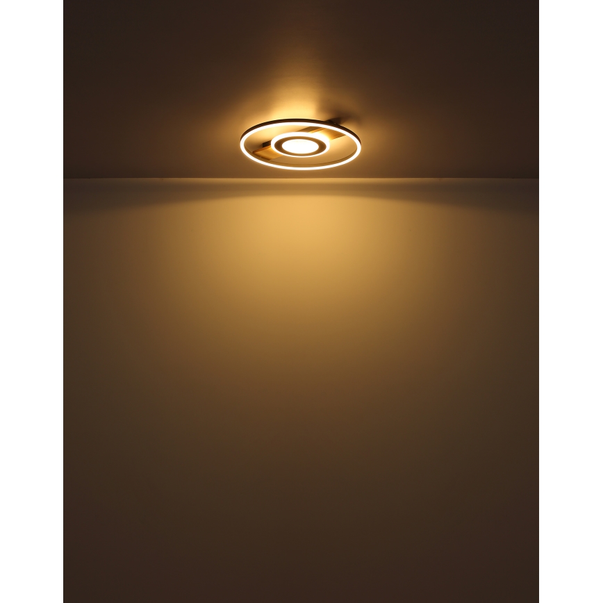 Globo - LED Mennyezeti lámpa LED/24W/230V