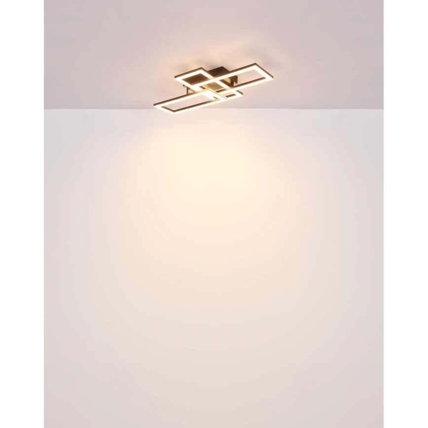 Globo - LED Mennyezeti lámpa LED/24W/230V