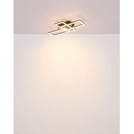 Globo - LED Mennyezeti lámpa LED/24W/230V