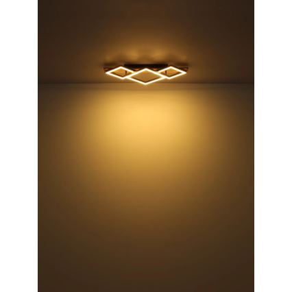 Globo - LED Mennyezeti lámpa LED/24W/230V