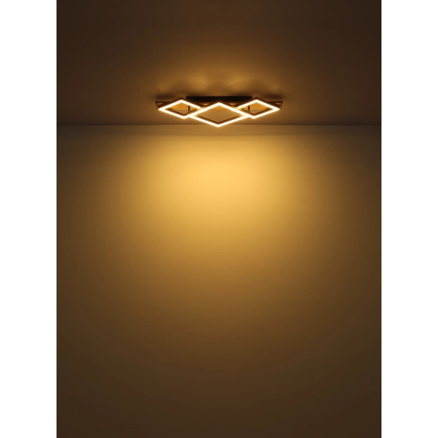 Globo - LED Mennyezeti lámpa LED/24W/230V
