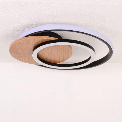Globo - LED Mennyezeti lámpa LED/24W/230V fekete
