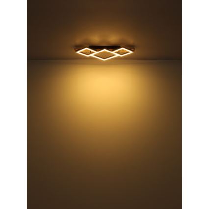 Globo - LED mennyezeti lámpa LED/24W/230V + LED/8W 3000K 31x61cm