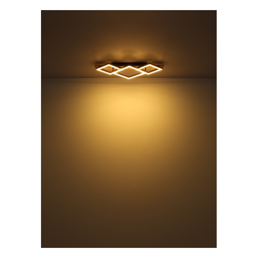 Globo - LED mennyezeti lámpa LED/24W/230V + LED/8W 3000K 31x61cm