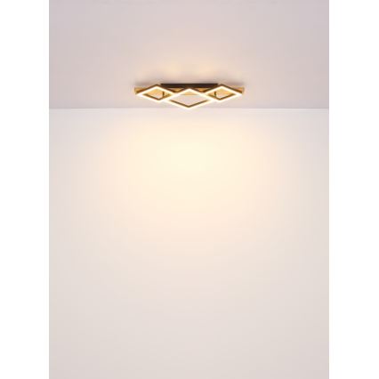 Globo - LED mennyezeti lámpa LED/24W/230V + LED/8W 3000K 31x61cm