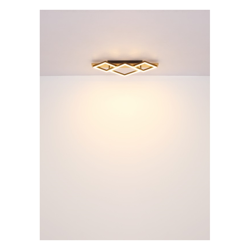 Globo - LED mennyezeti lámpa LED/24W/230V + LED/8W 3000K 31x61cm