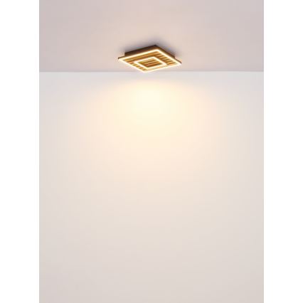 Globo - LED mennyezeti lámpa LED/18W/230V 3000K 30x30 cm