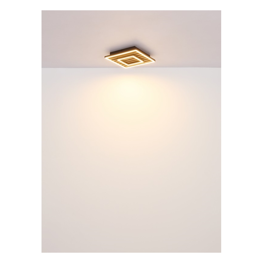 Globo - LED mennyezeti lámpa LED/18W/230V 3000K 30x30 cm