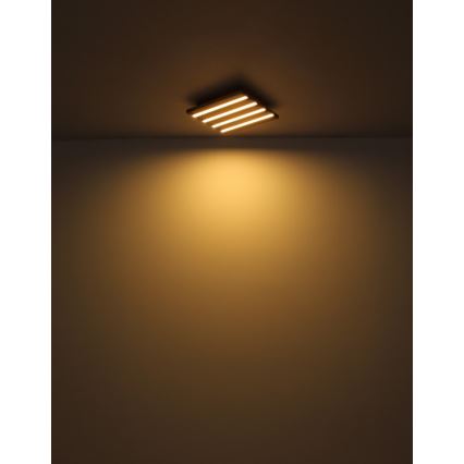 Globo - LED mennyezeti lámpa LED/15W/230V 3000K 30x30 cm