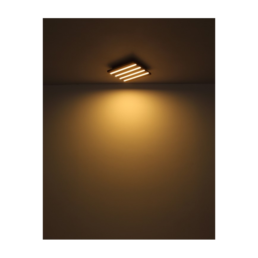 Globo - LED mennyezeti lámpa LED/15W/230V 3000K 30x30 cm