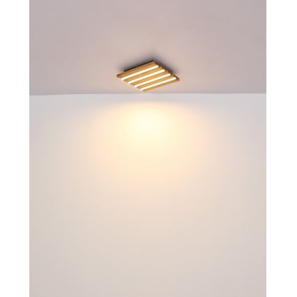 Globo - LED mennyezeti lámpa LED/15W/230V 3000K 30x30 cm