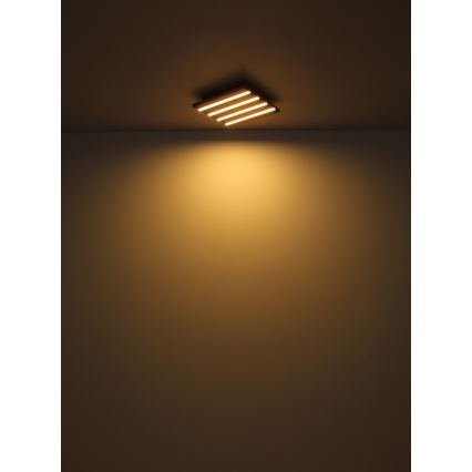 Globo - LED mennyezeti lámpatest LED/30W/230V 3000K 45x45 cm