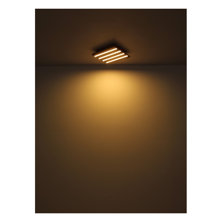 Globo - LED mennyezeti lámpatest LED/30W/230V 3000K 45x45 cm