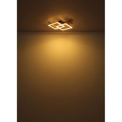 Globo - LED mennyezeti lámpa LED/16W/230V 3000K 33x44 cm